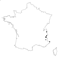 Crepis bocconei P.D.Sell - carte des observations