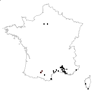 Crepis bursifolia L. - carte des observations