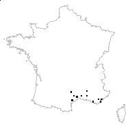 Stipa aristella L. - carte des observations