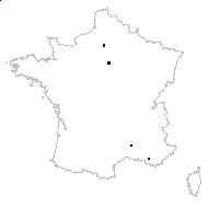 Triticum cochleare Lag. - carte des observations