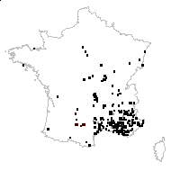 Crepis foetida L. - carte des observations