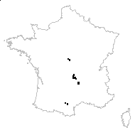 Festuca tenuis Raspail - carte des observations