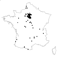 Vulpia myuros (L.) C.C.Gmel. f. myuros  - carte des observations