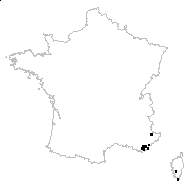 Vulpia sicula (C.Presl) Link - carte des observations