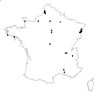 Potamogeton coloratus Hornem. - carte des observations