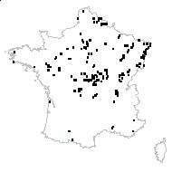 Potamogeton crispus L. - carte des observations