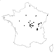 Potamogeton obtusifolius Mert. & W.D.J.Koch - carte des observations