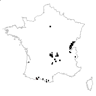 Crepis integrifolia Dulac - carte des observations