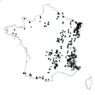 Larix decidua Mill. subsp. decidua - carte des observations