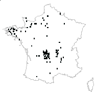 Larix kaempferi (Lindl.) Carrière - carte des observations