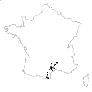 Pinus nigra subsp. salzmannii (Dunal) Franco - carte des observations