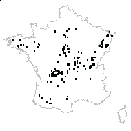 Pinus strobus L. - carte des observations