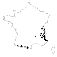 Crepis pyrenaica (L.) Greuter - carte des observations