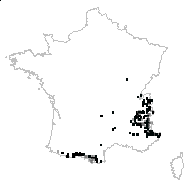 Juniperus communis subsp. nana (Hook.) Syme - carte des observations