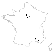 Platycladus orientalis (L.) Franco - carte des observations