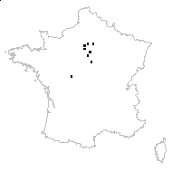 Retinospora dubia Carrière - carte des observations