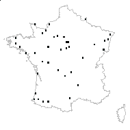 Thuja menziesii Carrière - carte des observations