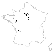 Sequoia religiosa J.Presl - carte des observations