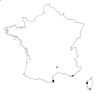 Allosorus tinaei (Tod.) Christenh. - carte des observations