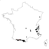 Cryptogramma crispa (L.) R.Br. - carte des observations