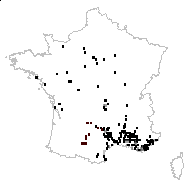 Crepis nuda Lam. - carte des observations