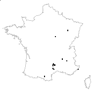 Asplenium trichomanes var. pachyrachis (H.Christ) Rouy - carte des observations