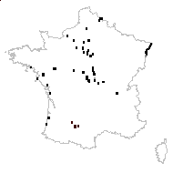 Azolla filiculoides Lam. - carte des observations