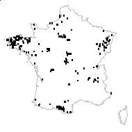 Dryopteris tavelii Rothm. - carte des observations