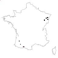 Dryopteris remota (A.Braun ex Döll) Druce - carte des observations