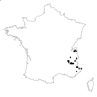 Dryopteris villarii (Bellardi) Woyn. ex Schinz & Thell. - carte des observations