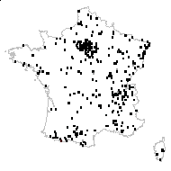 Equisetum hyemale L. - carte des observations