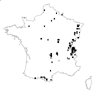 Allostelites sylvaticum (L.) Börner - carte des observations