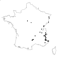 Hippochaete variegata (Schleich. ex F.Weber & D.Mohr) Bruhin - carte des observations