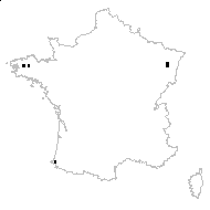 Hymenophyllum tunbrigense (L.) Sm. - carte des observations