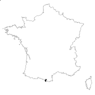 Isoetes braunii Durieu - carte des observations