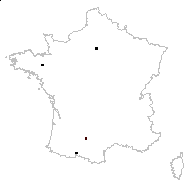 Cynara cardunculus L. - carte des observations
