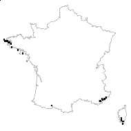 Ophioglossum lusitanicum L. - carte des observations