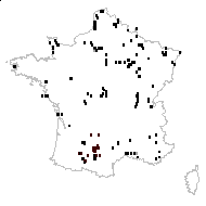 Ophioglossum spicatum Stokes - carte des observations