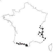 Lycopodina spinulosa (A.Braun) Bubani - carte des observations