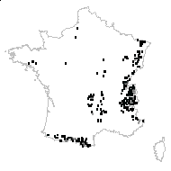 Currania dryopteris (L.) Wherry - carte des observations