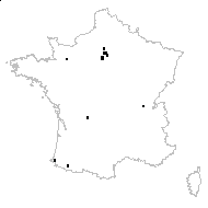 Liquidambar styraciflua L. - carte des observations