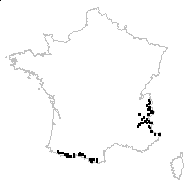 Silene acaulis subsp. bryoides (Jord.) Nyman - carte des observations