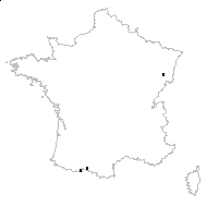 Polystichum ×luerssenii (Dörfl.) Hahne - carte des observations