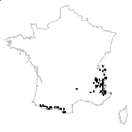 Doronicum jacquini Tausch - carte des observations