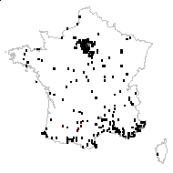 Esula rotundifolia Gray - carte des observations