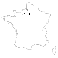 Primula ×digenea n-var. anisiaca (Stapf) Rouy - carte des observations