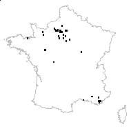 Doronicum plantagineum L. subsp. plantagineum - carte des observations