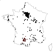 Vicia segetalis Thuill. - carte des observations