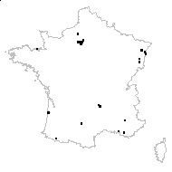 Trifolium campestre var. minus (W.D.J.Koch) Gremli - carte des observations