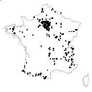 Angelica sylvestris L. subsp. sylvestris - carte des observations